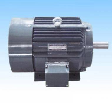 东莞DG90~355系列高效率三相异步电动机
