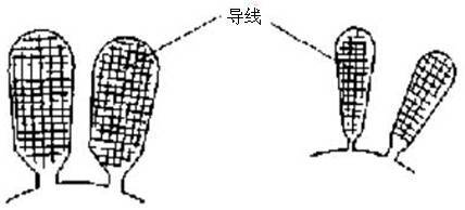 电机线圈电流密度对比